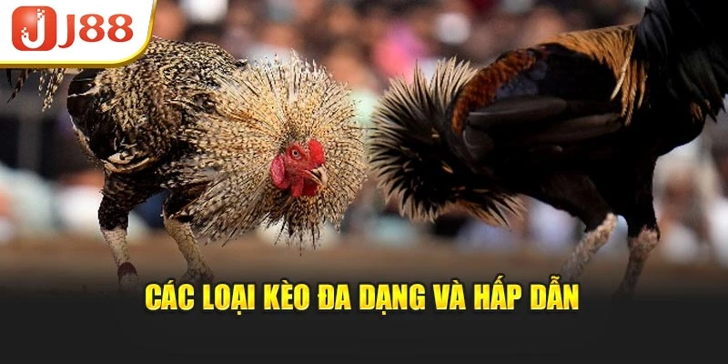 Các loại kèo đa dạng và hấp dẫn