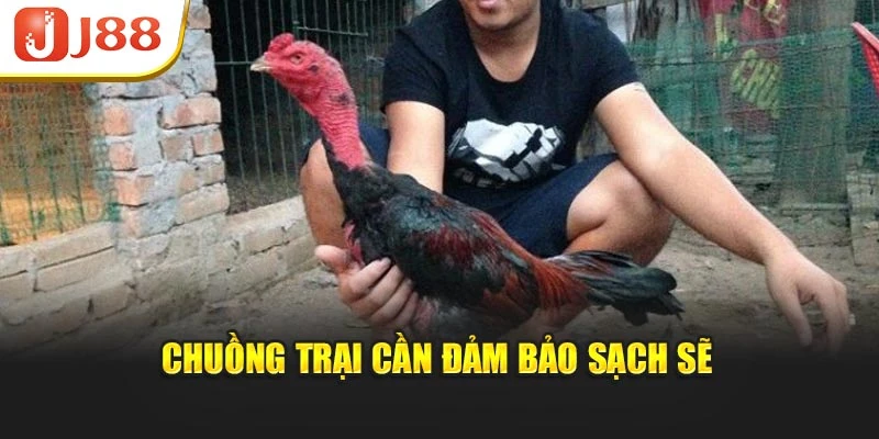 Chuồng trại cần đảm bảo sạch sẽ