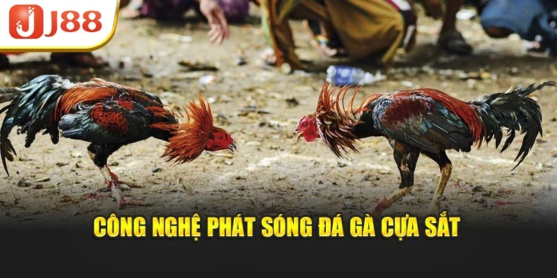 Công nghệ phát sóng đá gà cựa sắt