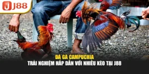 Đá Gà Campuchia – Trải Nghiệm Hấp Dẫn Với Nhiều Kèo Tại J88