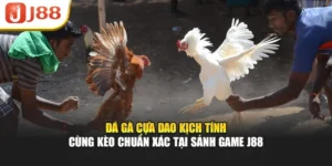 Đá Gà Cựa Dao Kịch Tính Cùng Kèo Chuẩn Xác Tại Sảnh Game J88