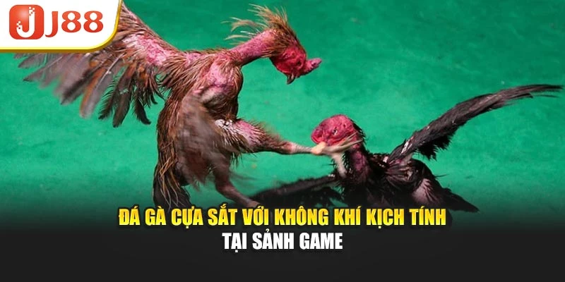 Đá gà cựa sắt với không khí kịch tính tại sảnh game