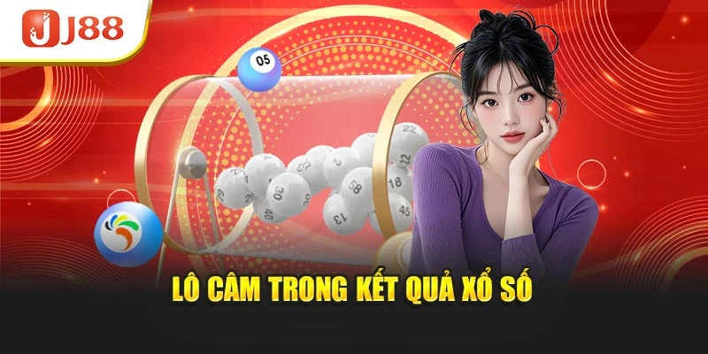 Lô câm trong kết quả xổ số