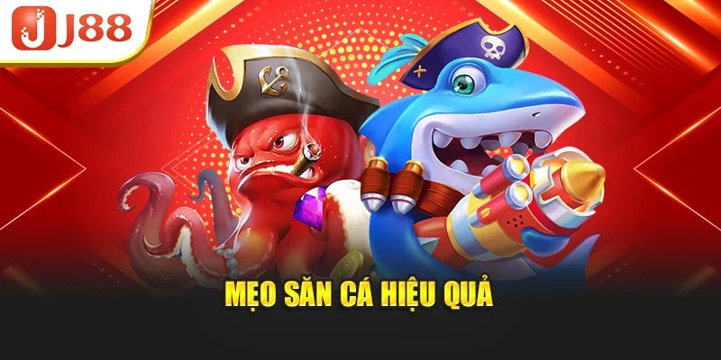 Mẹo săn cá hiệu quả