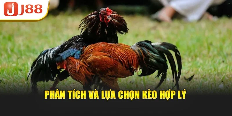 Phân tích và lựa chọn kèo hợp lý