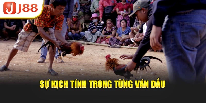 Sự kịch tính trong từng ván đấu