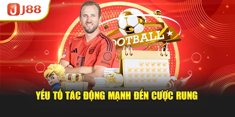 Yếu tố tác động mạnh đến cược rung